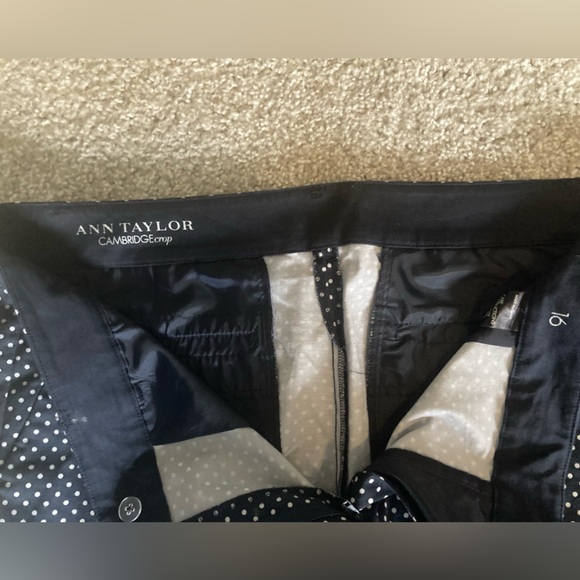 Ann Taylor Loft & Talbots lot of capris and skirt Size 16 - Picture 8 of 8